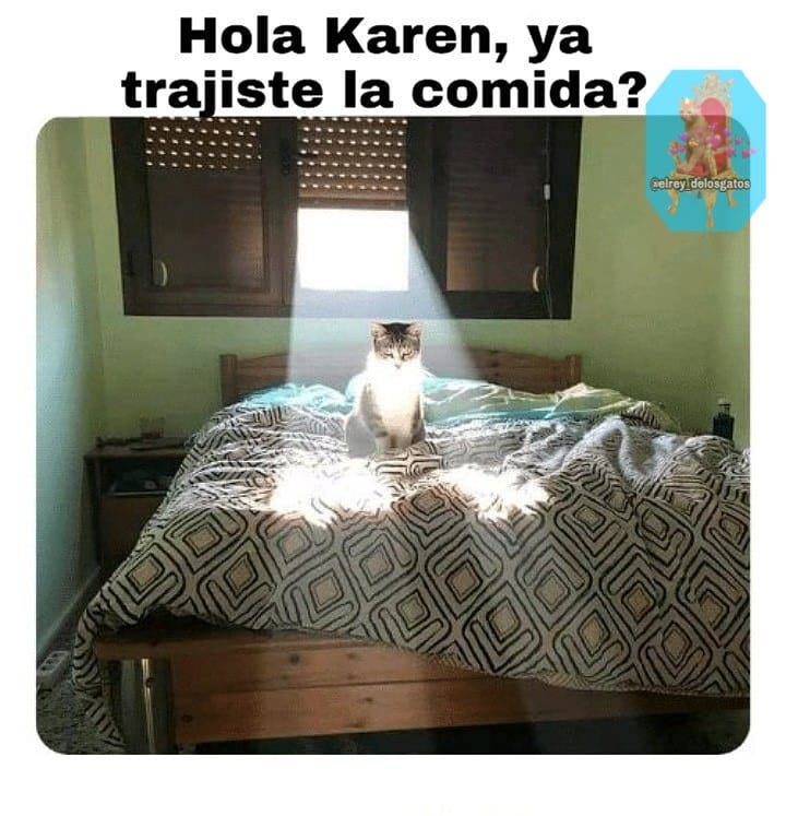 Hola Karen, ya trajiste la comida?