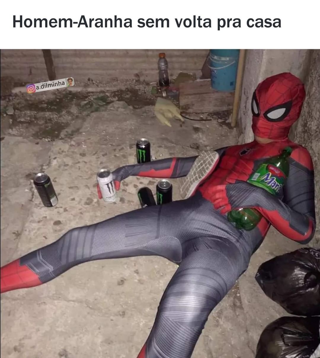 Homem Aranha Sem Volta Pra Casa Memes