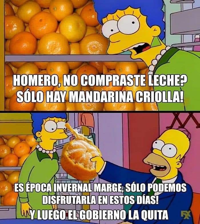 Homero, no compraste leche? Sólo hay mandarina criolla!  Es época invernal Marge, sólo podemos disfrutarla en estos días! Y luego el gobierno la quita.