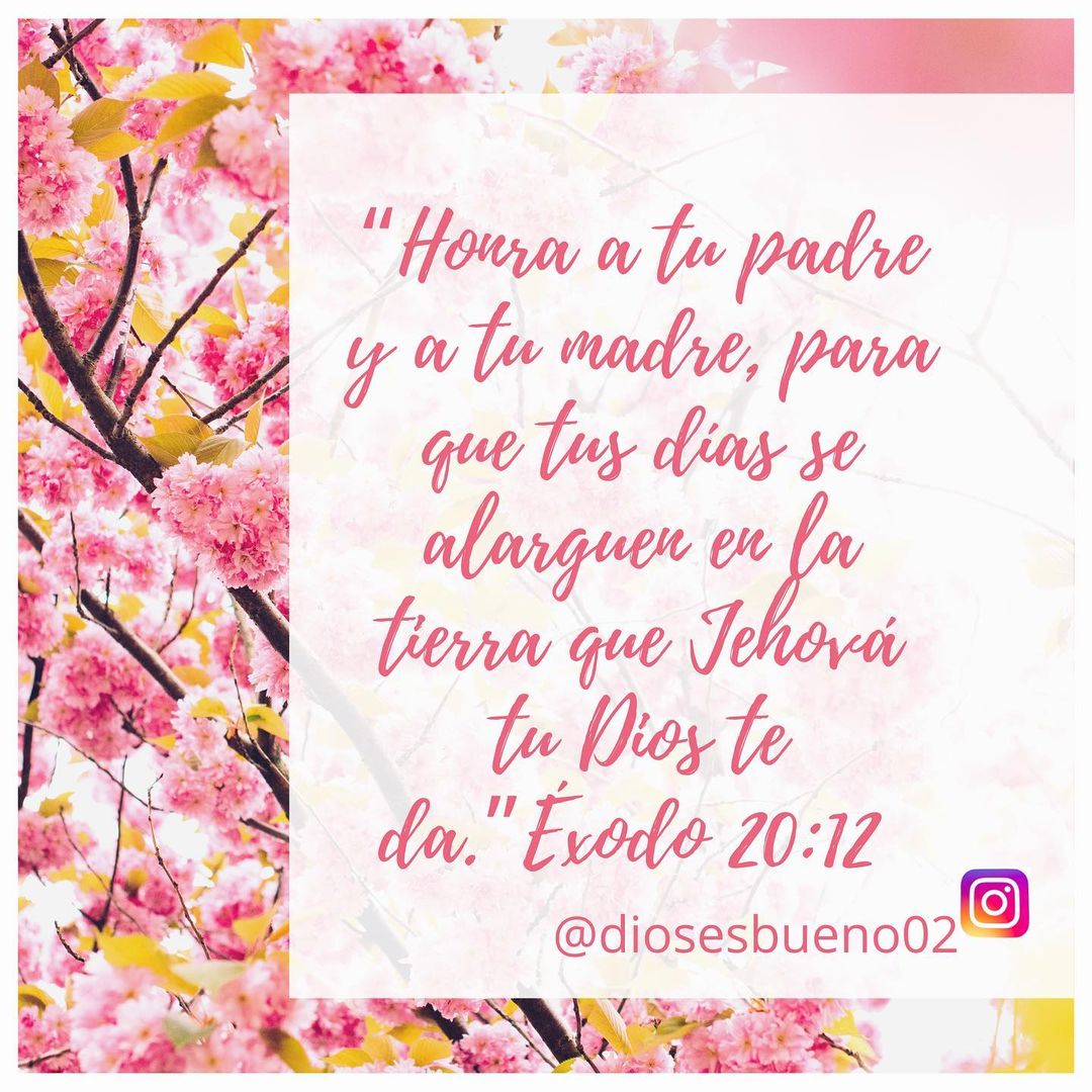 "Honra a tu padre y a tu madre para que tus días se alarguen en la tierra que Jehová tu Dios te da." Éxodo 20:12.