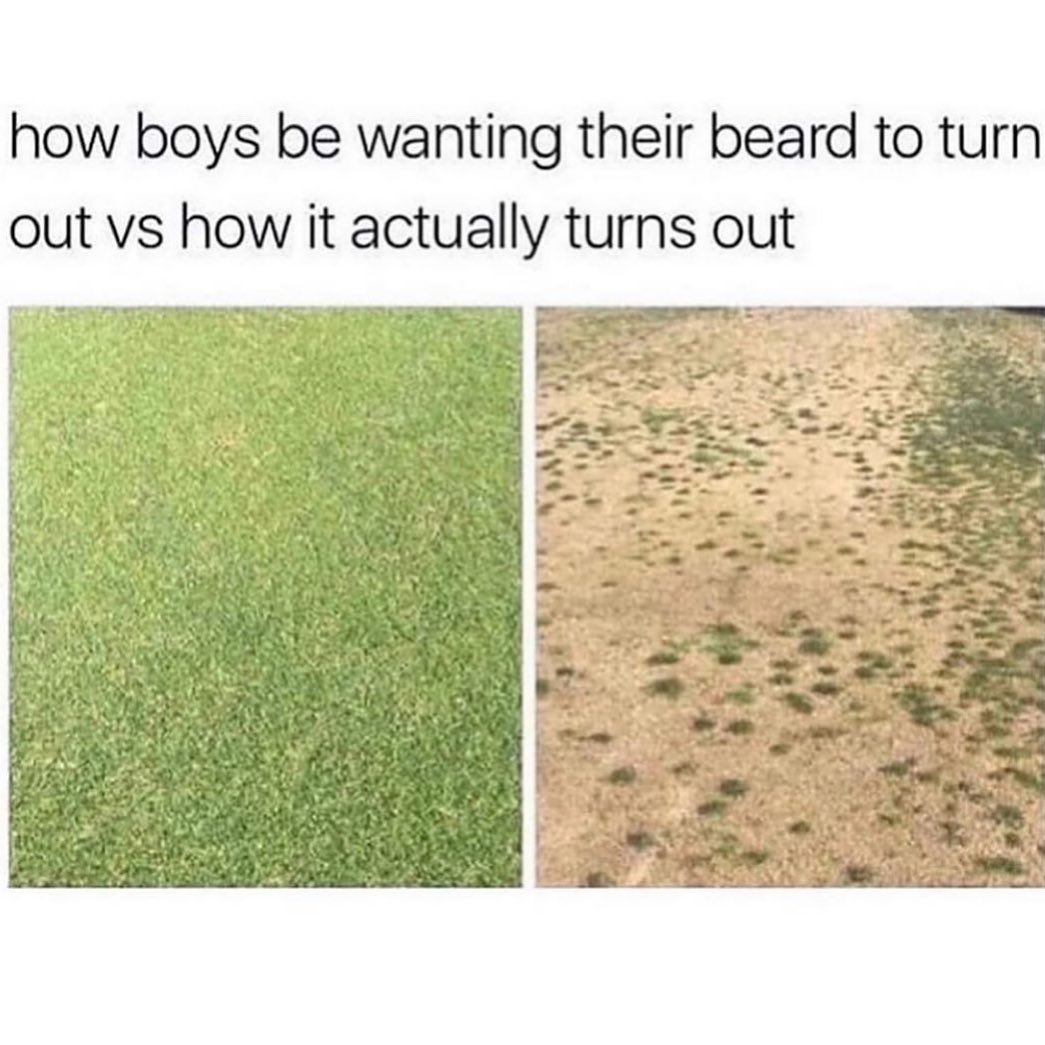How boys be wanting their beard to turn out vs how it actually turns out.