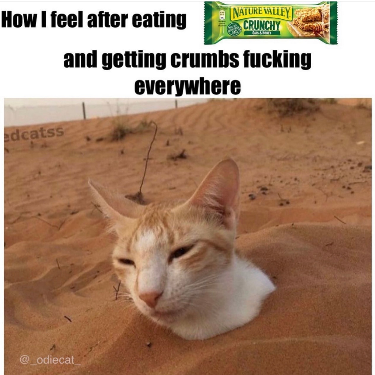 How I feel after eating and getting crumbs fucking everywhere.