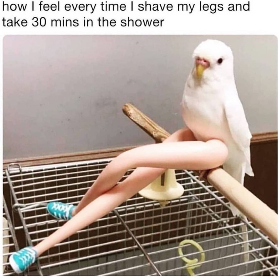 How I feel every time I shave my legs and take 30 mins in the shower.