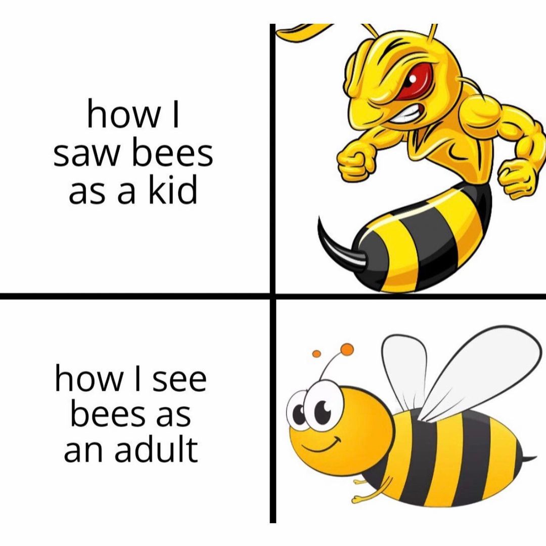 How I saw bees as a kid. How I see bees as an adult.