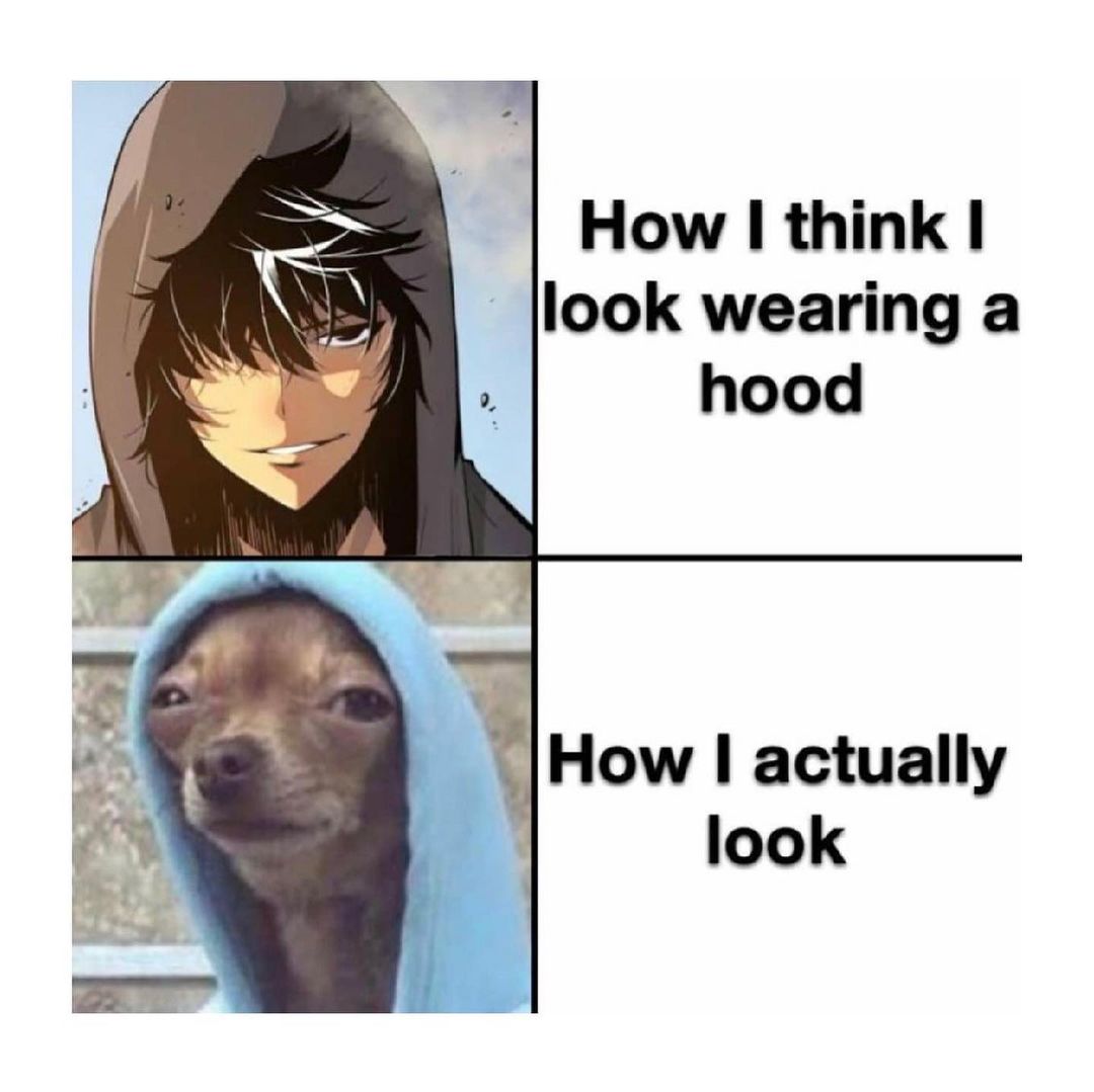 How I think I look wearing a hood. How I actually look.