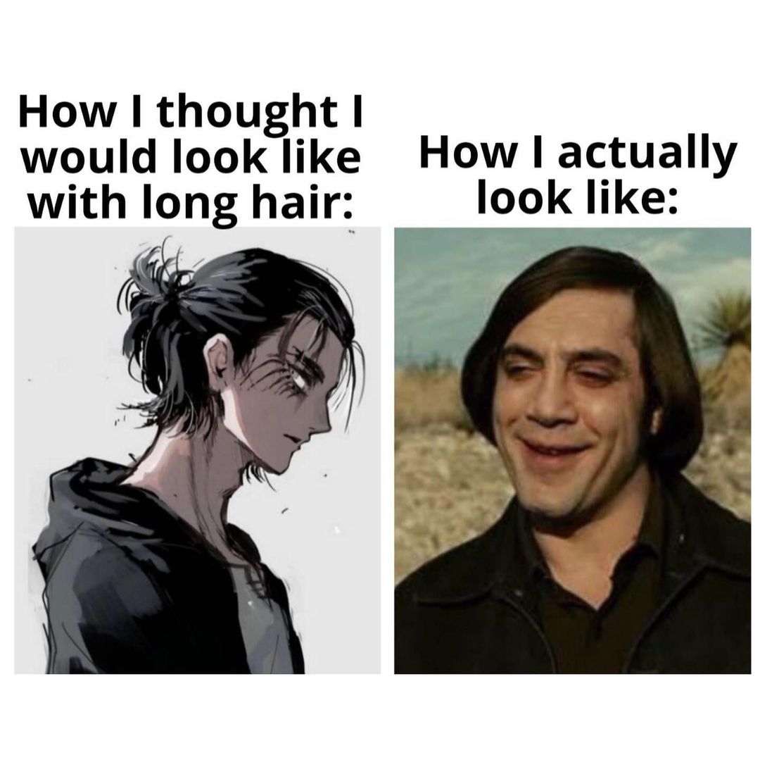 How I thought I would look like with long hair: How I actually look like: