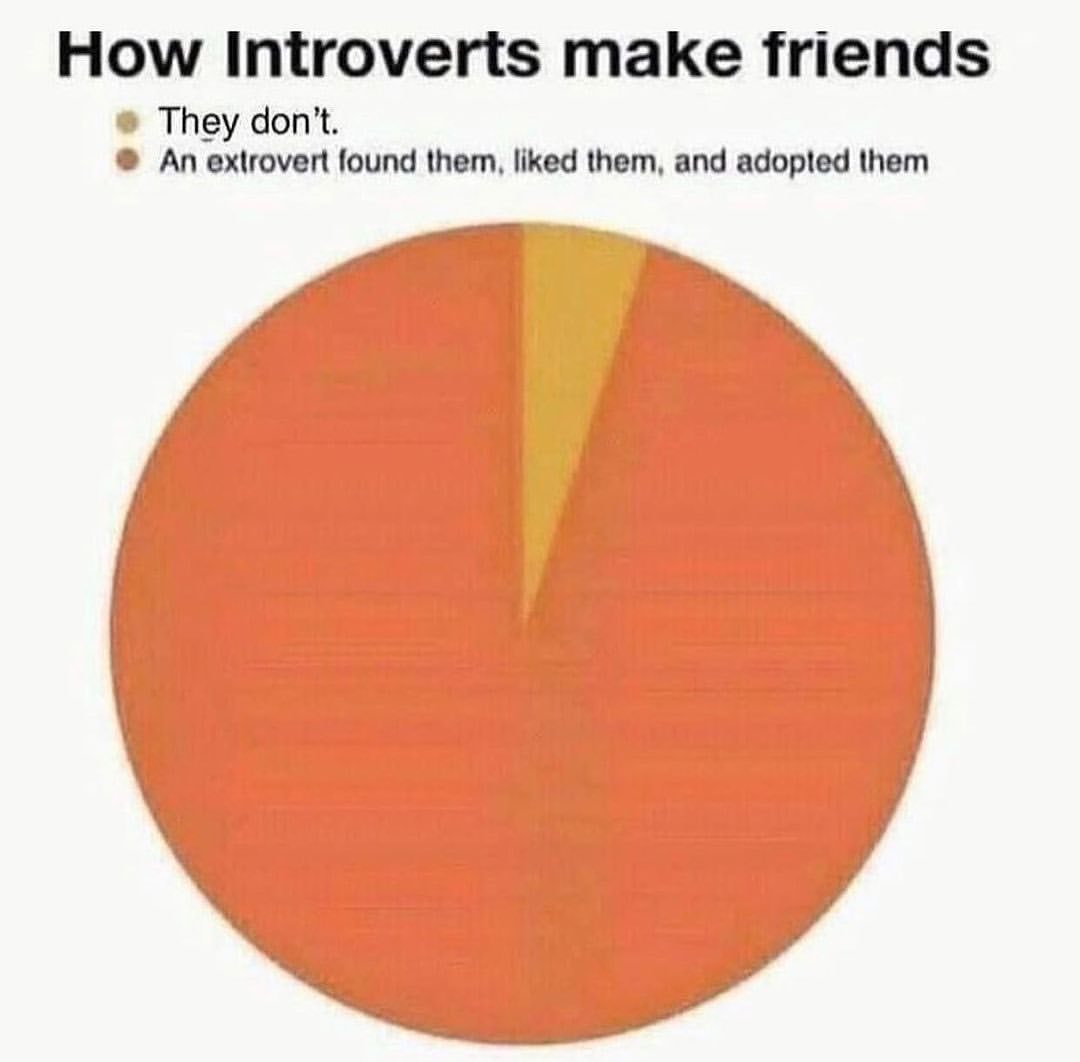How Introverts make friends: They don't. An extrovert found them. Liked them, and adopted them.