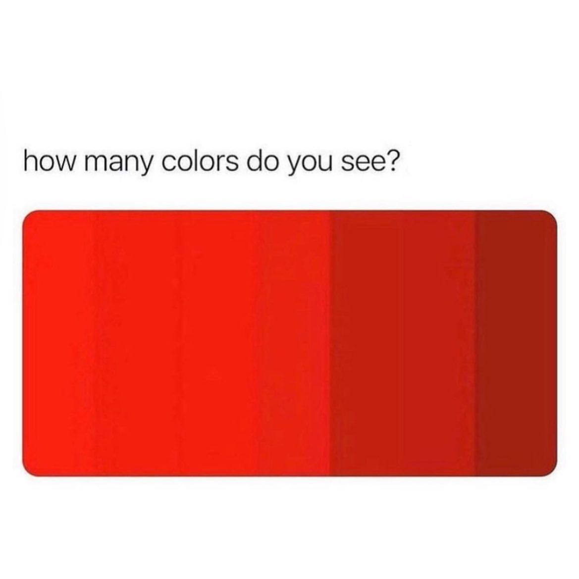 How many colors do you see?