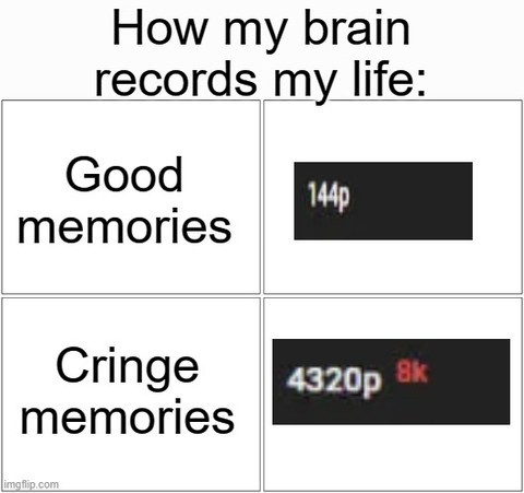 How my brain records my life:  Good memories: 144p.  Cringe memories 4320p 8k.