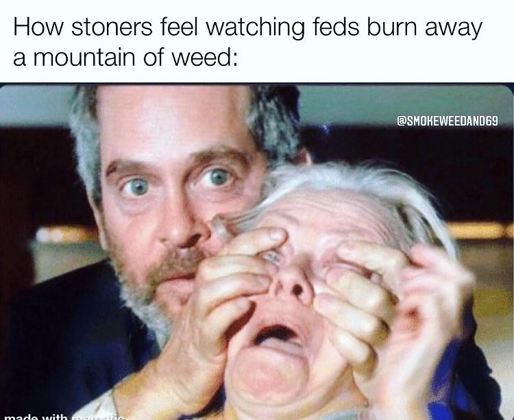 How stoners feel watching feds burn away a mountain of weed: