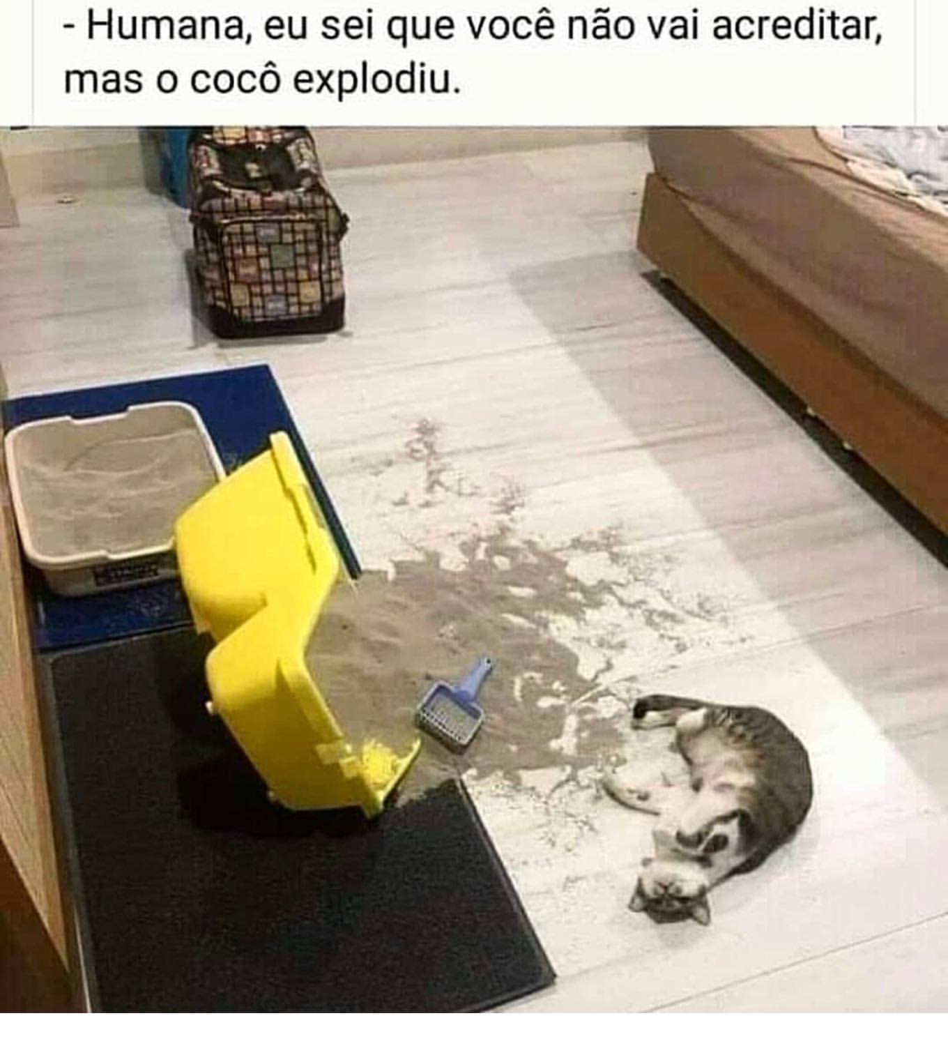 Humana, eu sei que você não vai acreditar, mas o cocô explodiu.