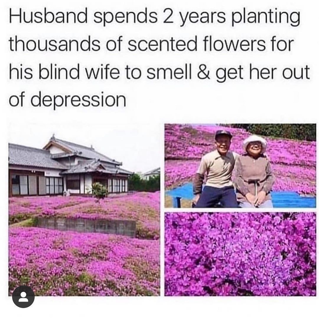 Husband spends 2 years planting thousands of scented flowers for 