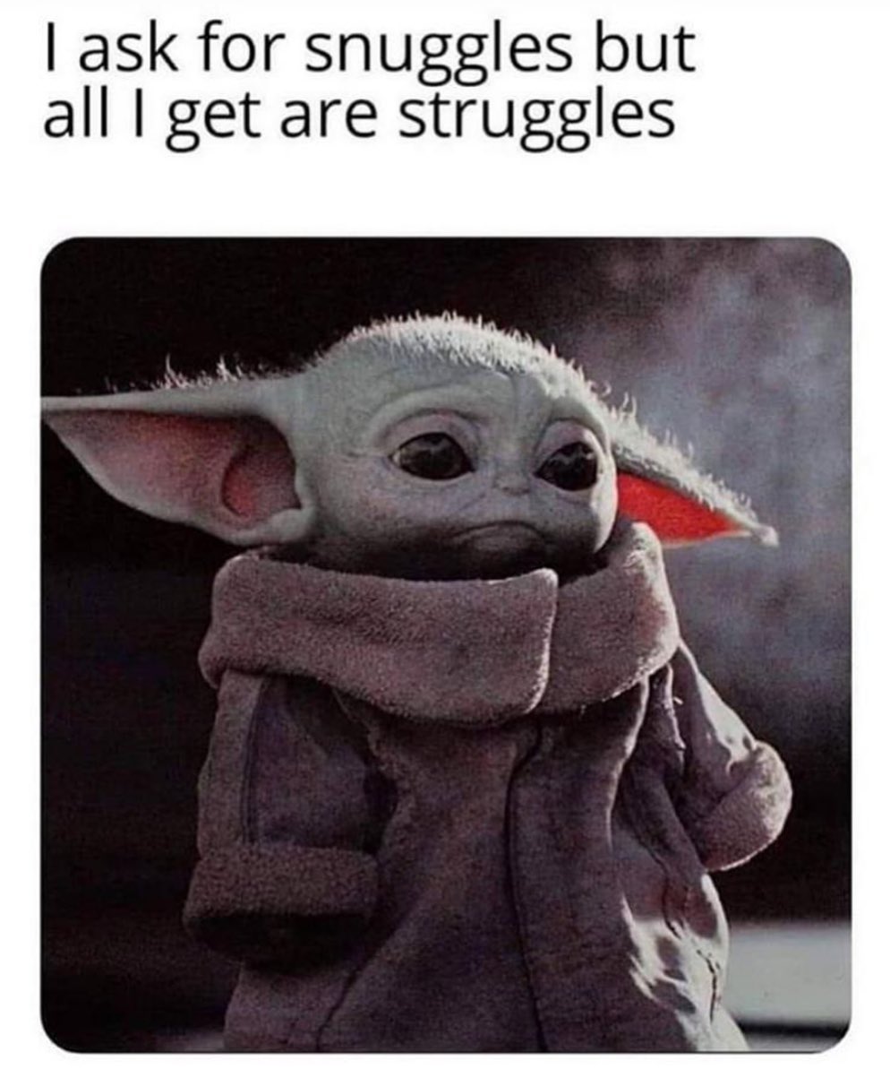 I ask for snuggles but all I get are struggles.