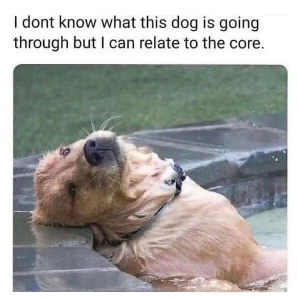I dont know what this dog is going through but I can relate to the core.