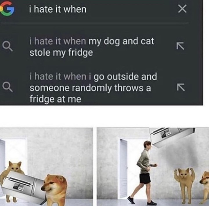 I hate it when. I hate it when my dog and cat stole my fridge. I hate it when I go outside and someone randomly throws a fridge at me.