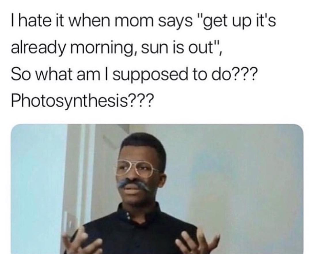 I hate it when mom says "get up it's already morning, sun is out", So what am I supposed to do??? Photosynthesis???