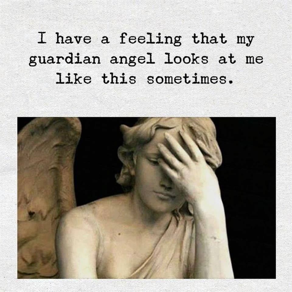 I have a feeling that my guardian angel looks at me like this sometimes.