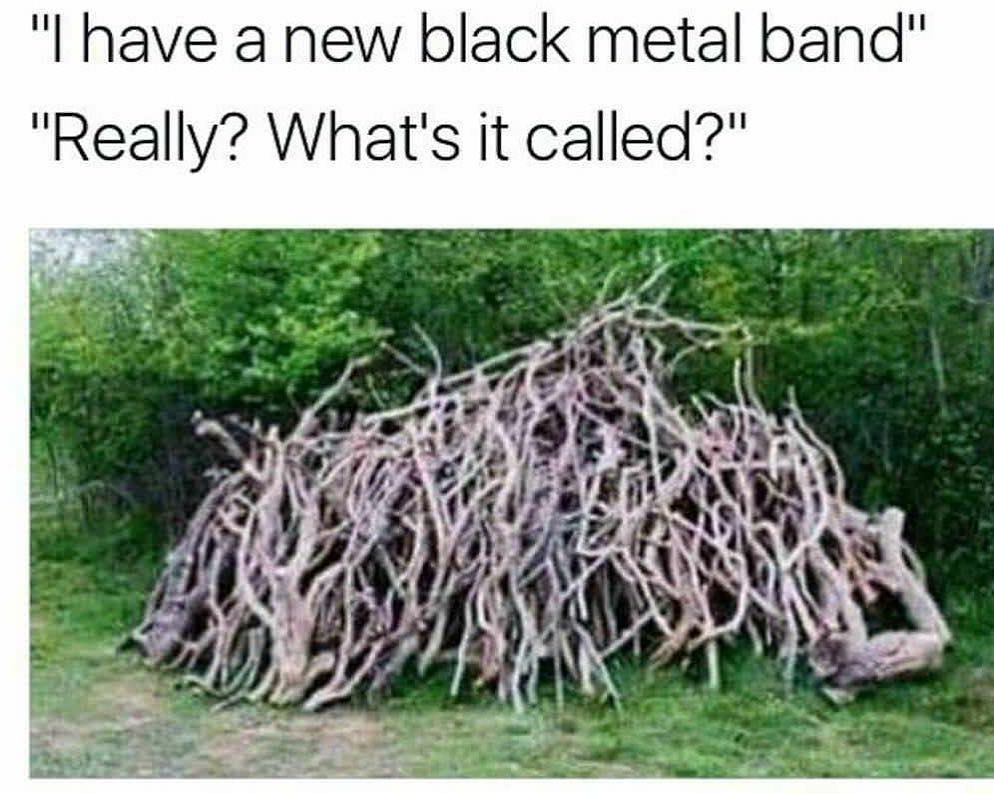 "I have a new black metal band". "Really? What's it called?"