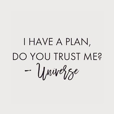 I have a plan, do you trust me?