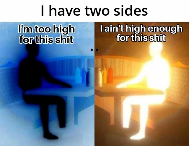 I have two sides.  I'm to high for this shit.  I ain't high enough for this shit.