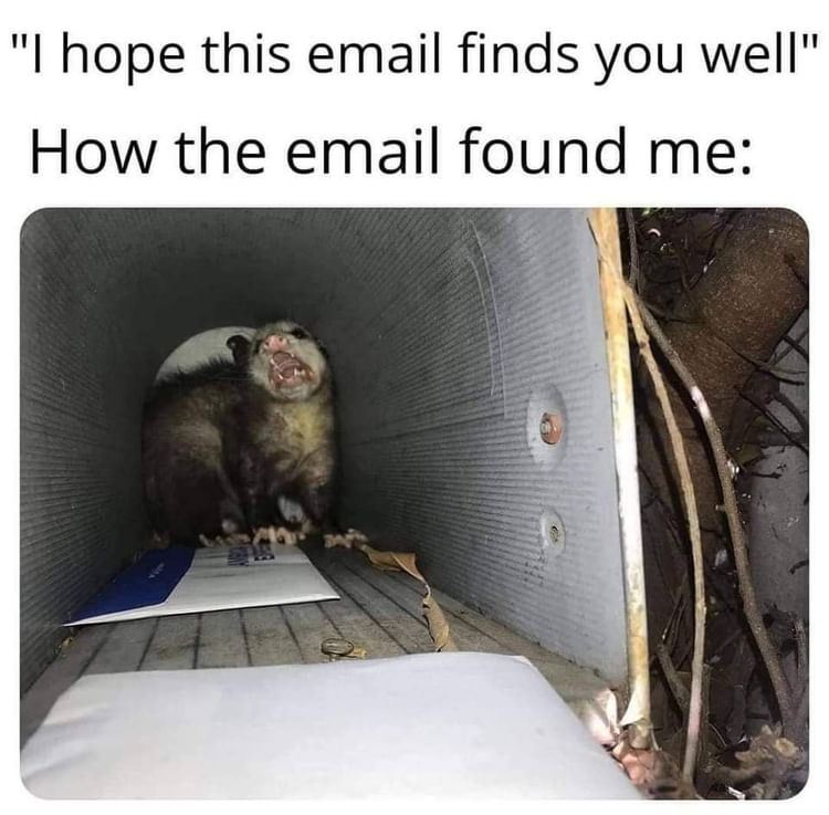 "I hope this email finds you well". How the email found me: