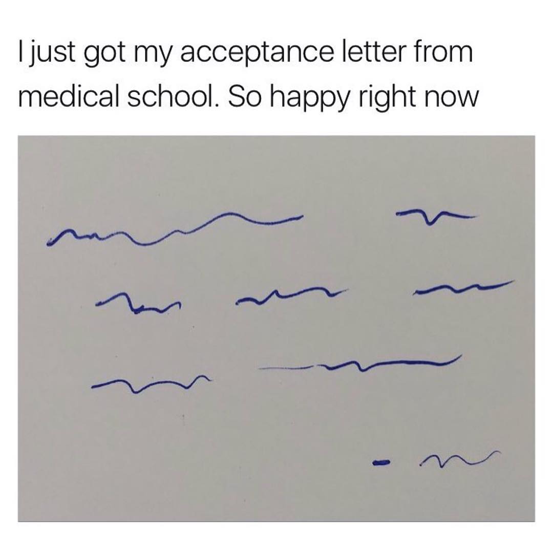 I just got my acceptance letter from medical school. So happy right now.