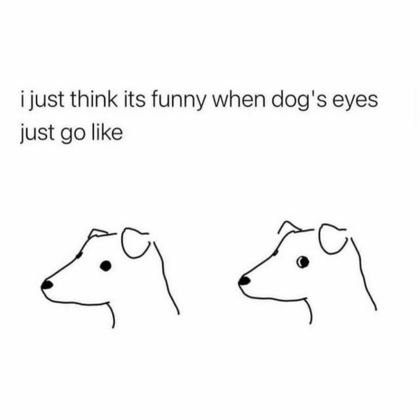 I just think its funny when dog's eyes just go like.