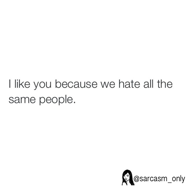 I like you because we hate all the same people. - Phrases