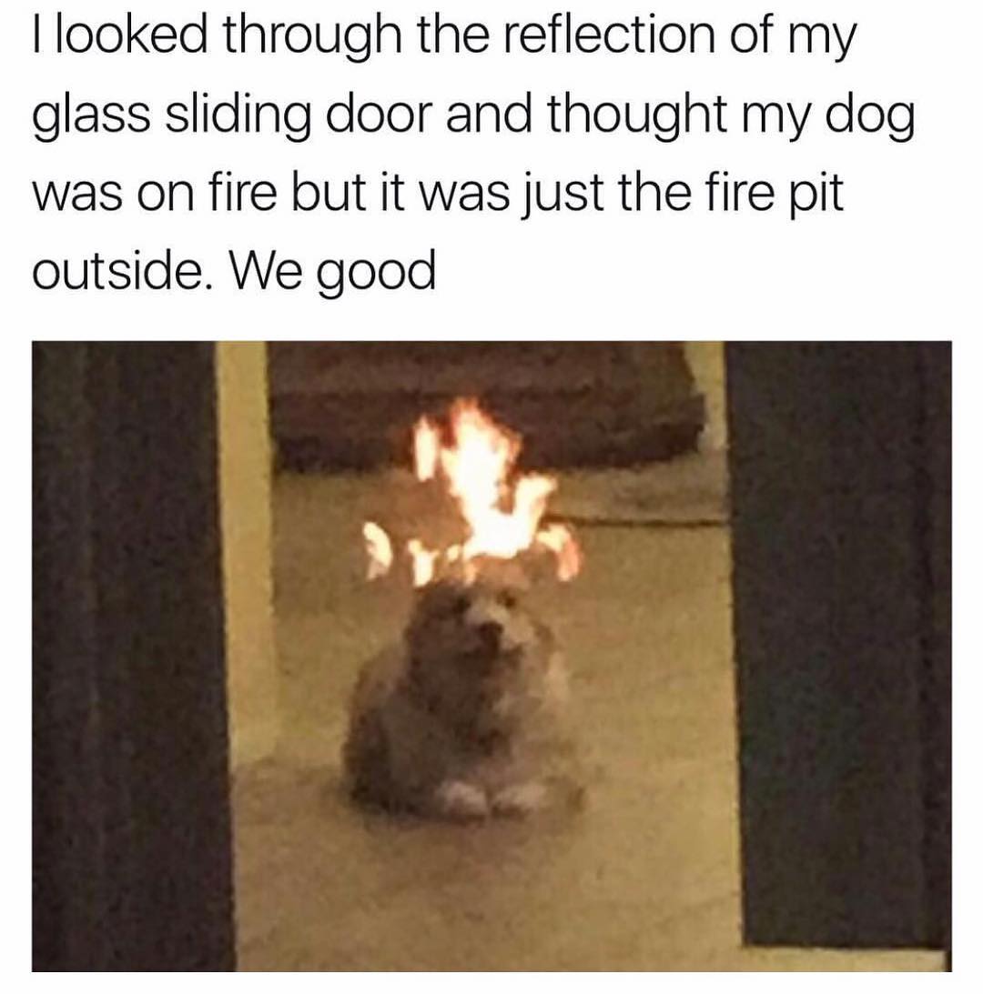 I looked through the reflection of my glass sliding door and thought my dog was on fire but it was just the fire pit outside. We good.