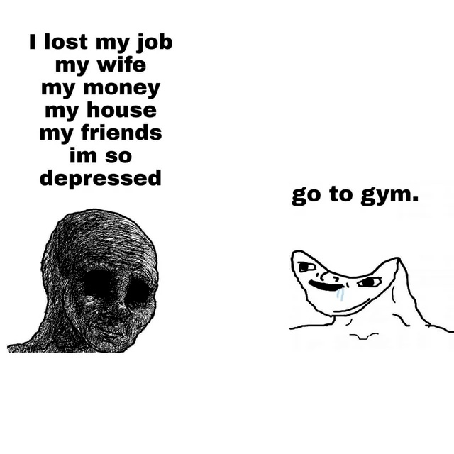 I lost my job my wife my money my house my friends im so depressed.  Go to gym.