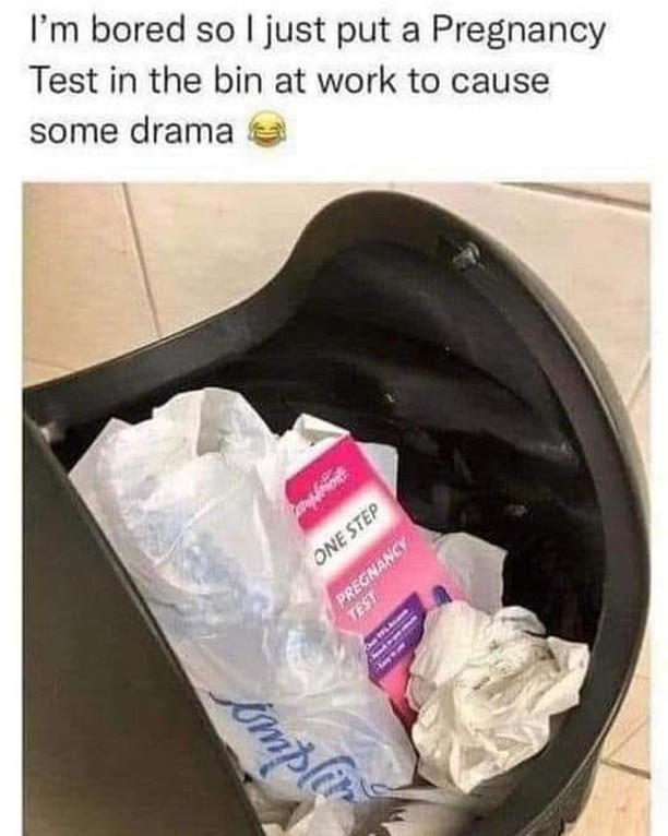 I M Bored So I Just Put A Pregnancy Test In The Bin At Work To Cause Some Drama Funny