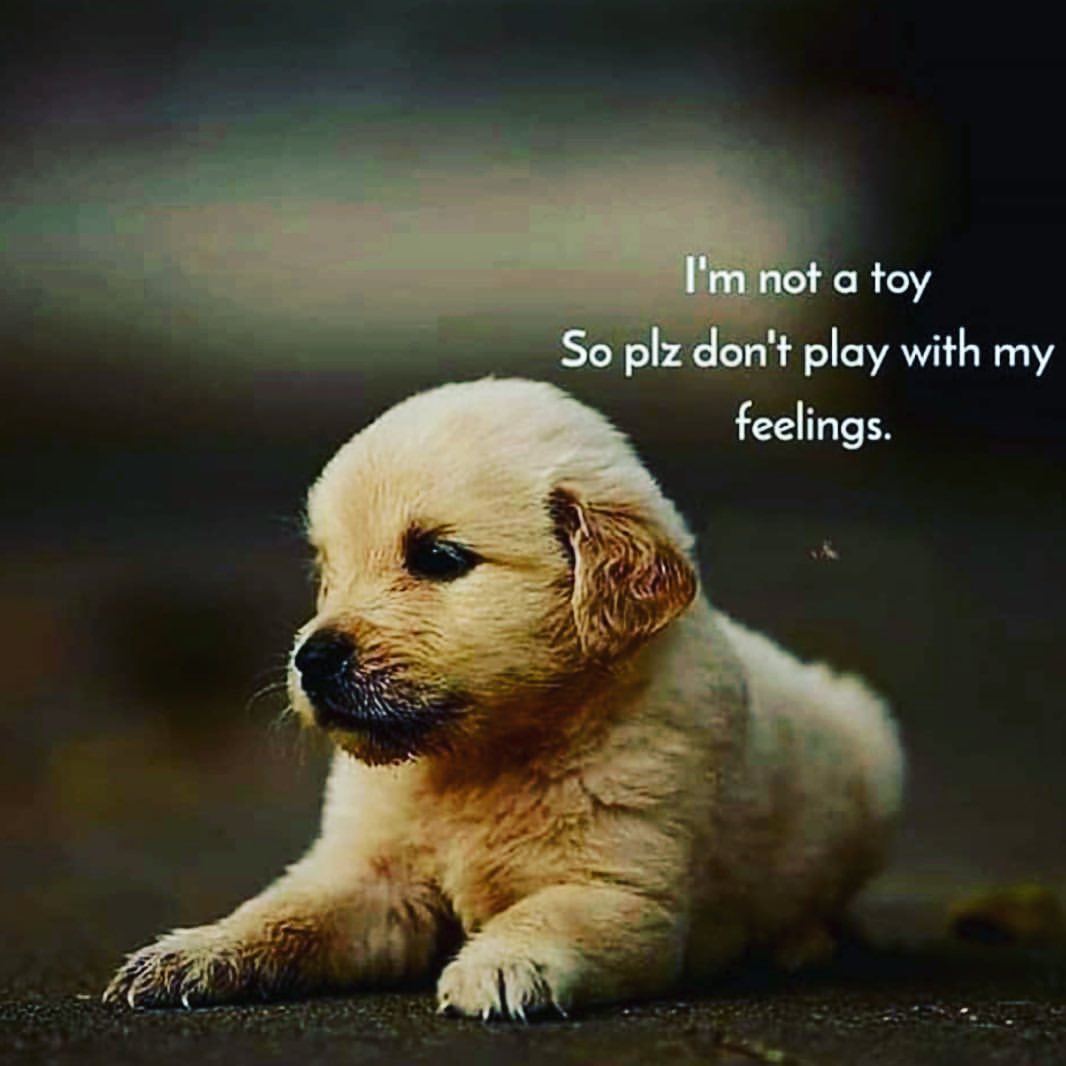I'm not a toy so plz don't play with my feelings.
