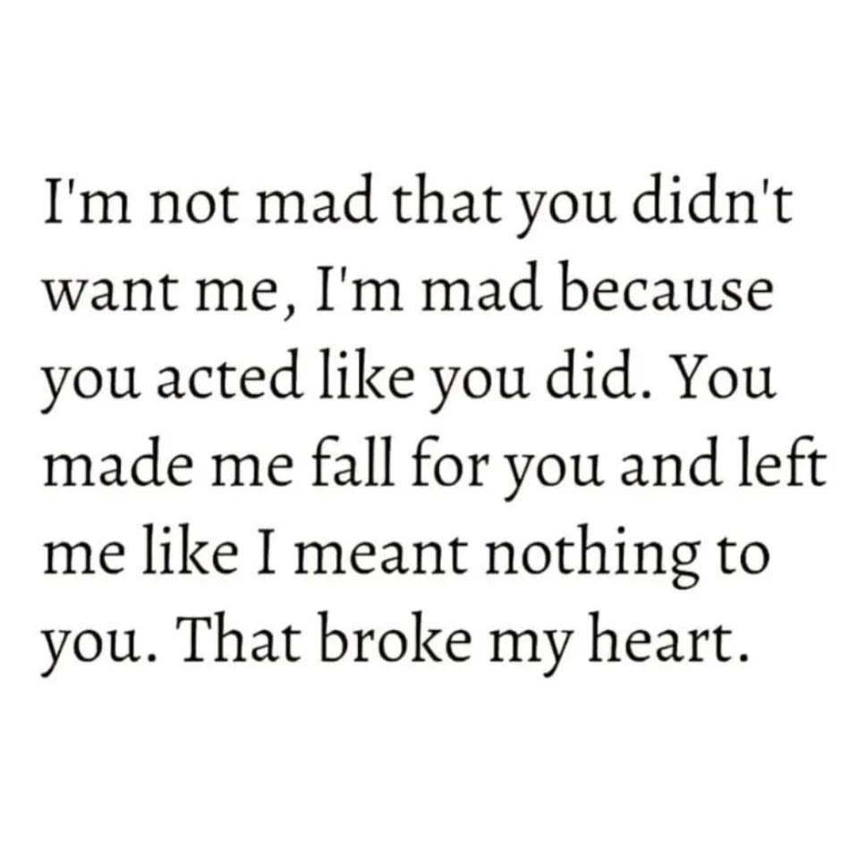 I'm not mad that you didn't want me, I'm mad because you acted like you did. You made me fall for you and left me like I meant nothing to you. That broke my heart.