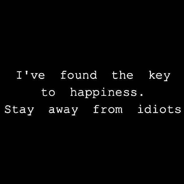 I've found the key to happiness. Stay away from idiots.