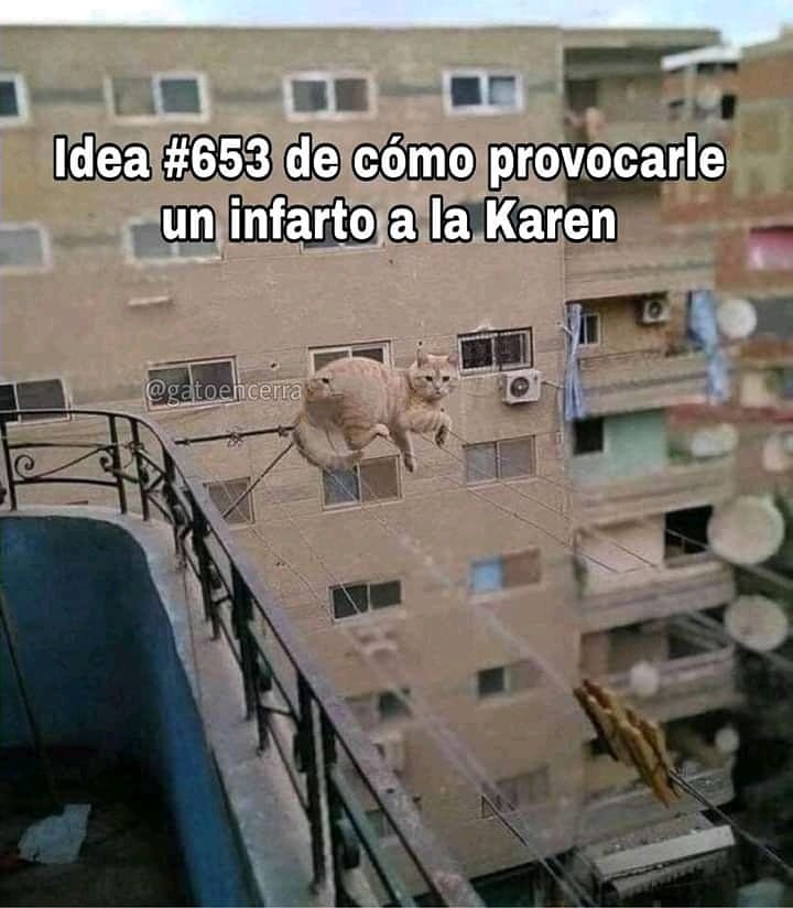Idea #653 de cómo provocarle un infarto a la Karen.