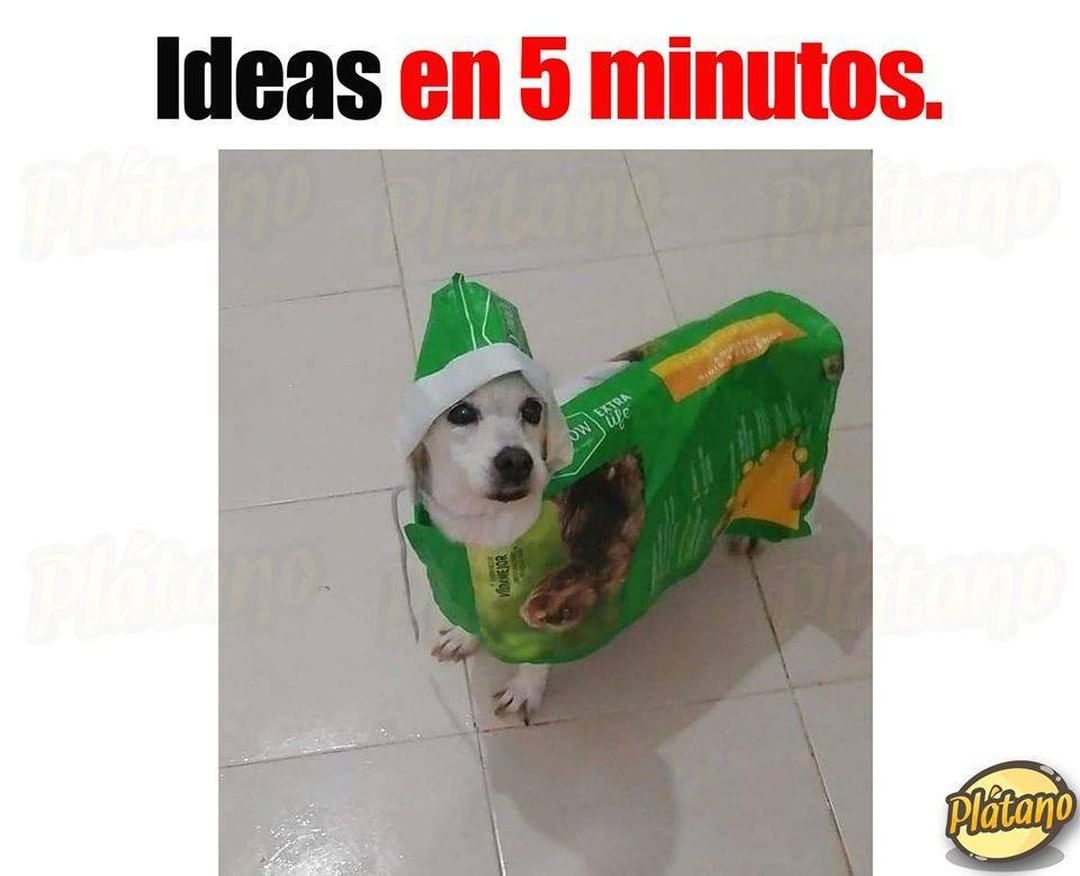 Ideas en 5 minutos.