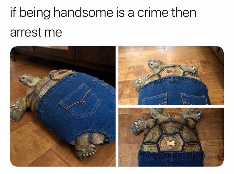 If being handsome is a crime then arrest me.