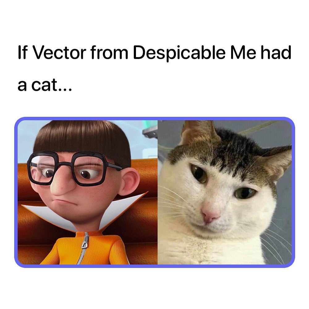If vector from despicable me had a cat...