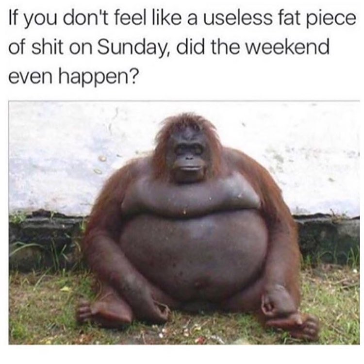 If you don't feel like a useless fat piece of shit on Sunday, did the weekend even happen?