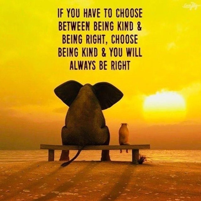 If you have to choose between being kind being right, choose being kind & you will always be right.