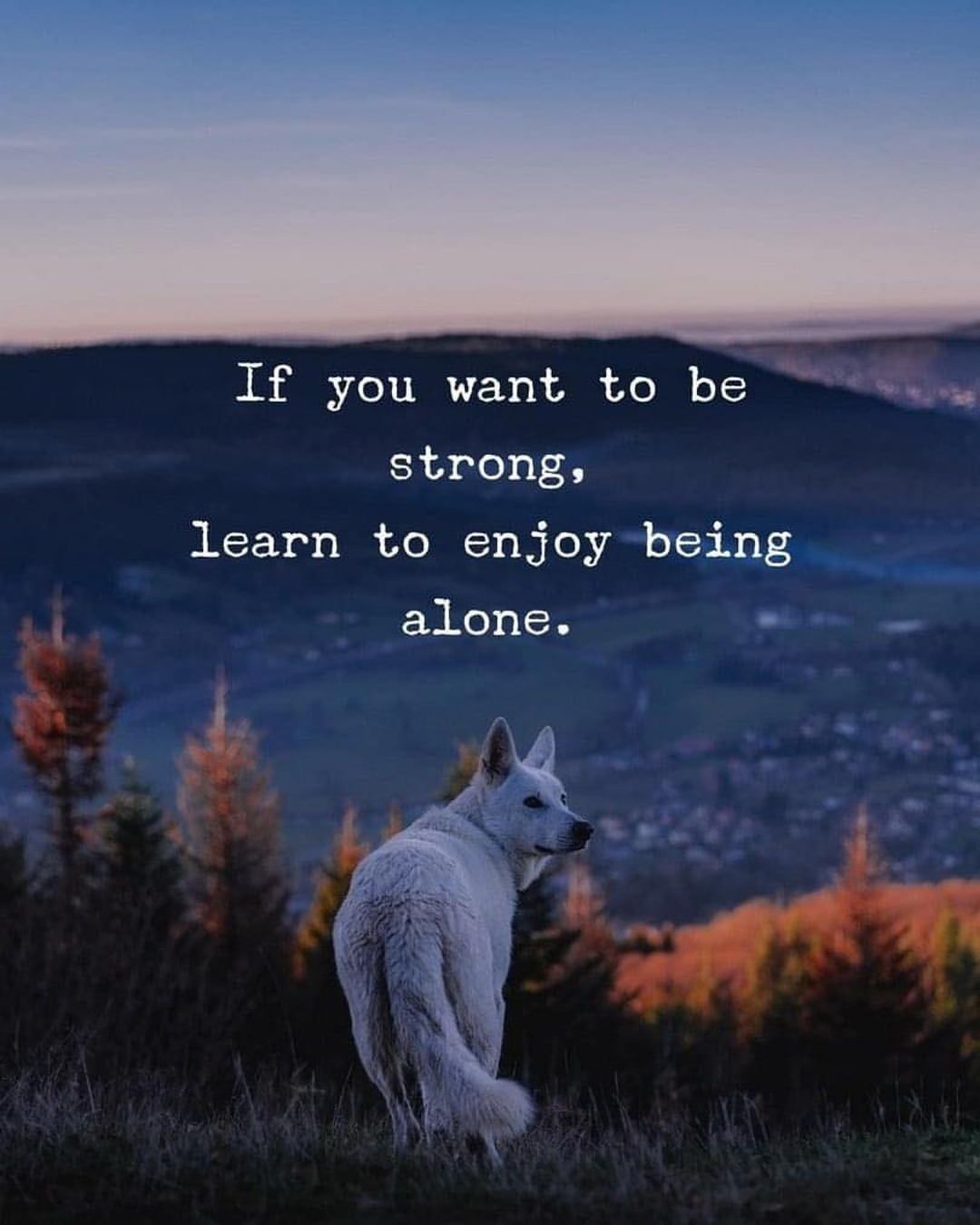 If you want to be strong, learn to enjoy being alone.