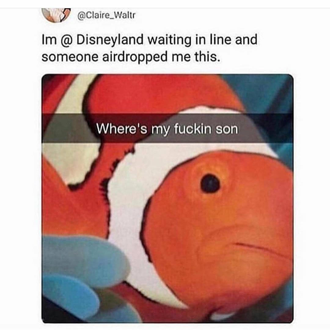 Im @ Disneyland waiting in line and someone airdropped me this. Where's my fuckin son.