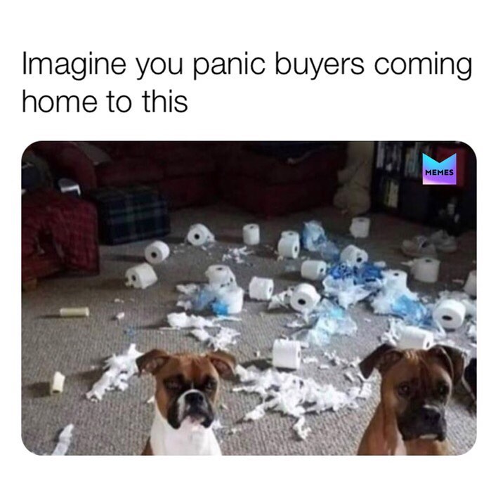 Imagine you panic buyers coming home to this.