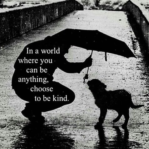 In a world where you can be anything, choose to be kind.