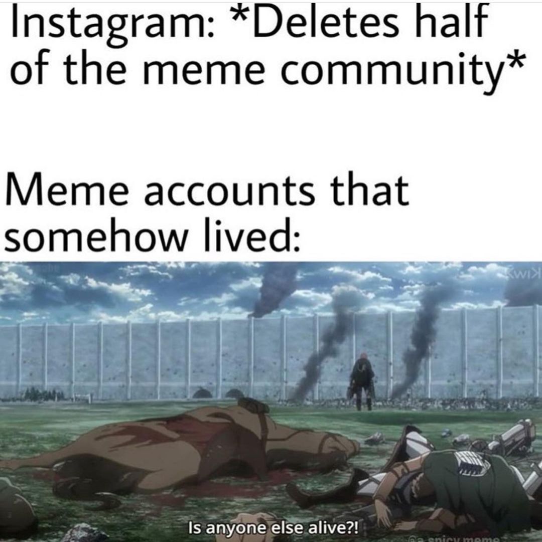 Instagram: *Deletes half of the meme community* Meme accounts that somehow lived: Is anyone else alive?!