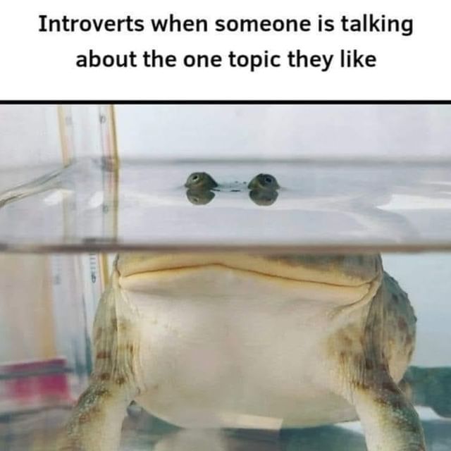 Introverts when someone is talking about the one topic they like.
