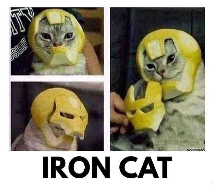 Iron cat.