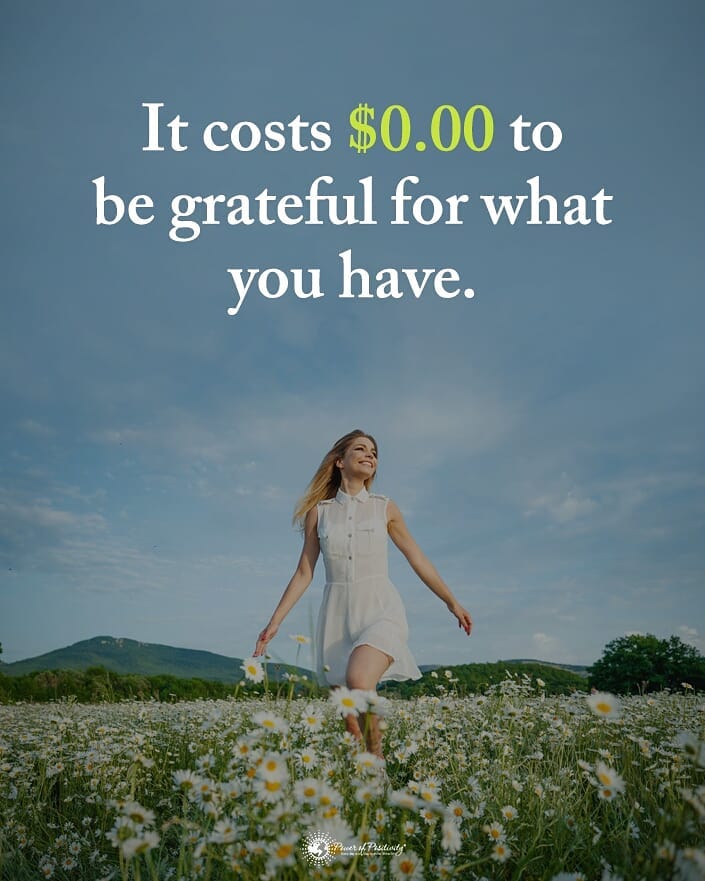 It costs $0.00 to be grateful for what you have.