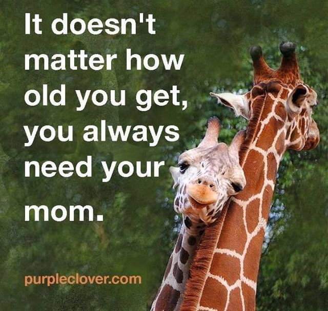 It doesn't matter how old you get, you always need your mom.