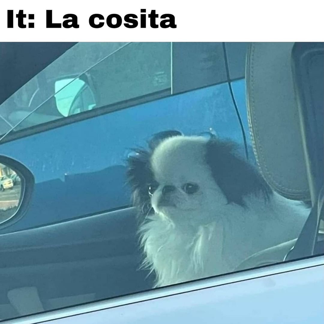 It: La cosita.